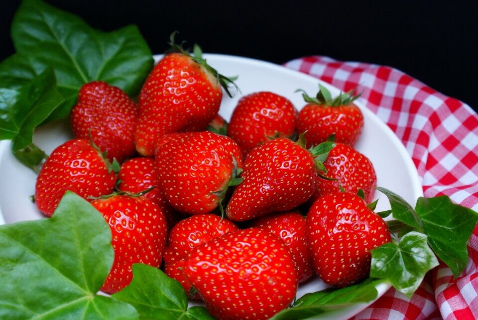 Red fruits garden