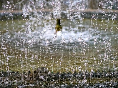 Splash water fluid
