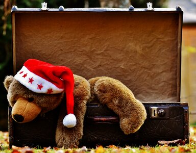 Teddy soft toy stuffed animal