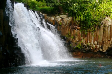 Mauritius tropics jungle