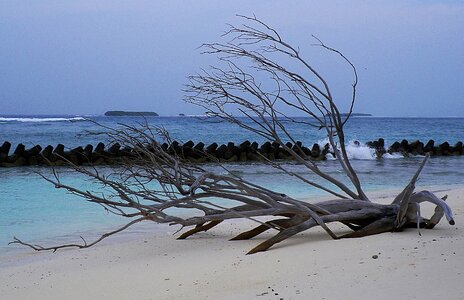 Beach flotsam sea
