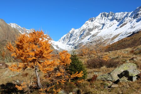 Valais autumn landscape photo