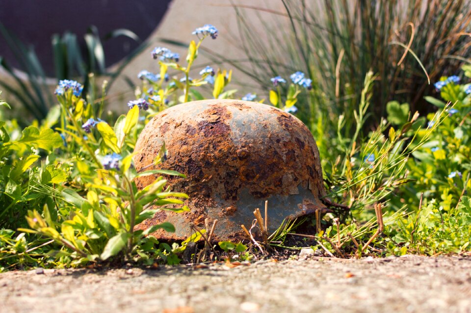 War relic flowers rust