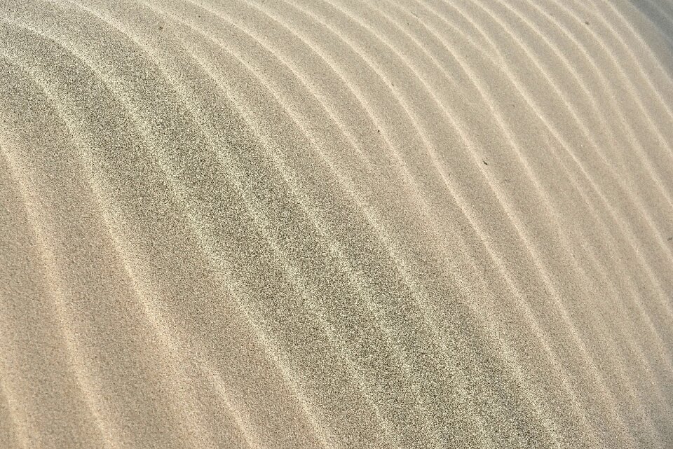 Texture sand background white photo