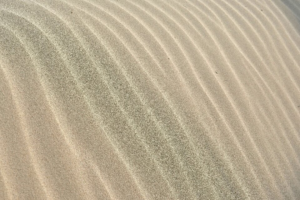 Texture sand background white