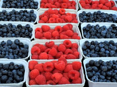 Fruit delicious food