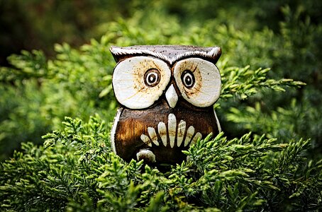 Wooden bird folk art ornament
