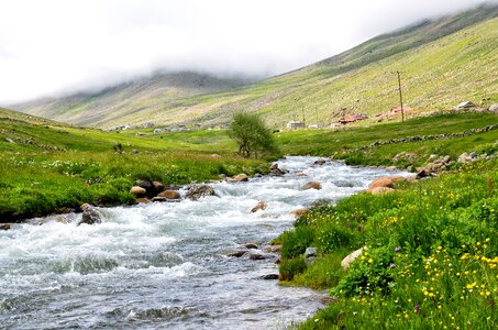 Nature green kaçkars