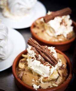 Vanilla cream ice cream scoop