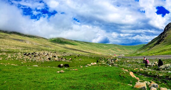 Nature green kaçkars