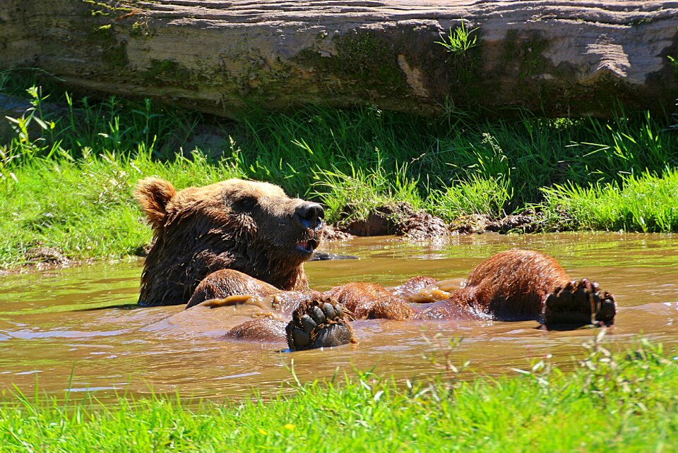 To bathe refresh yourself cool down