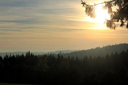 Czech republic trees fog photo