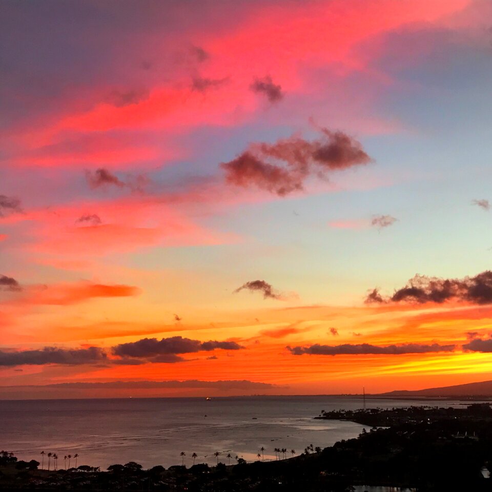Sunset nature summer