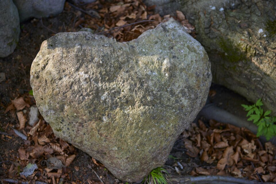 Stone nature formation