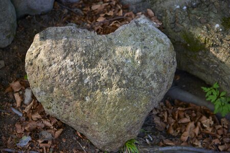 Stone nature formation