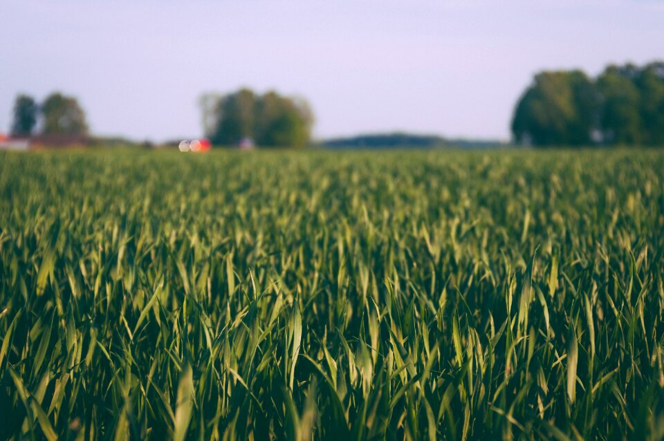 Farm farmland field