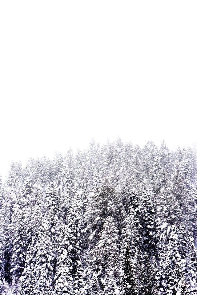 American Fork Canyon, United States 