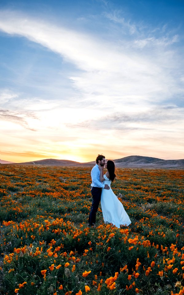 Antelope Valley California Poppy Reserve State Natural Reserve, Lancaster, United States 