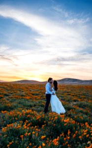 Antelope Valley California Poppy Reserve State Natural Reserve, Lancaster, United States 