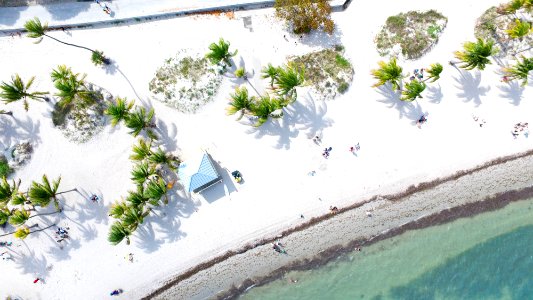 Beach Life photo