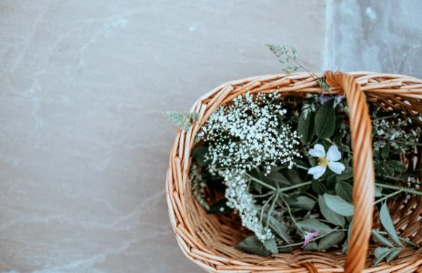 Basket of hedgerow finds 