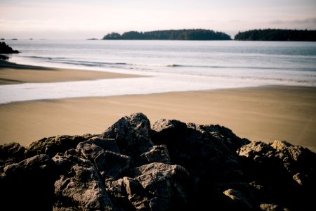 Beach Rocks Low Tide 