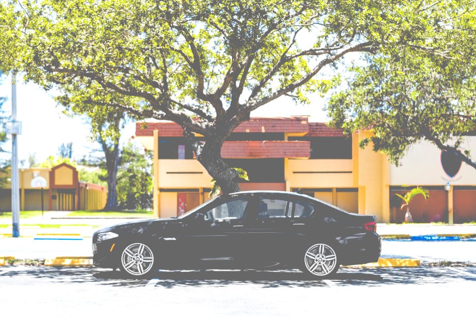Bimmer 