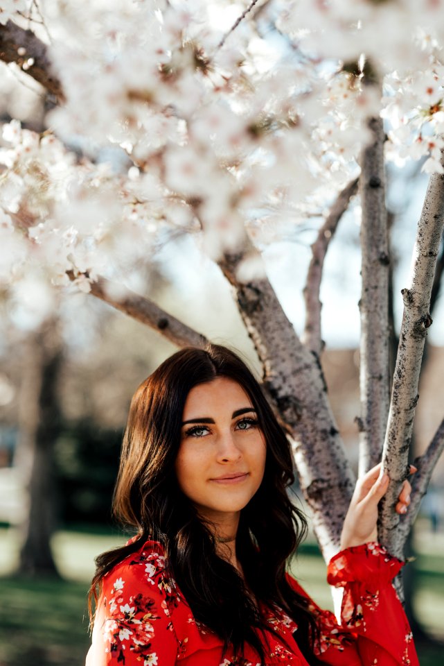 Blossom Beauty 