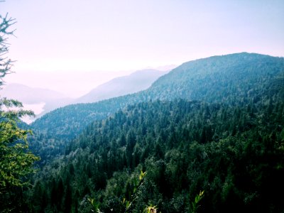 Bohinj-47316