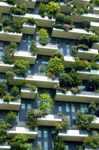 Bosco verticale, Milan, Italy 