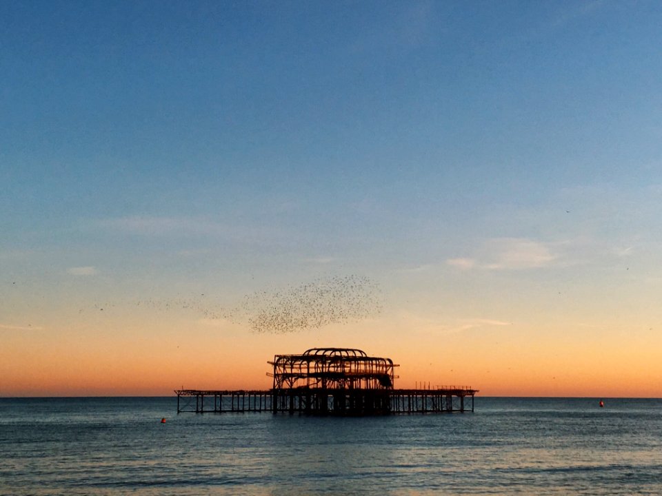 Brighton, United Kingdom 