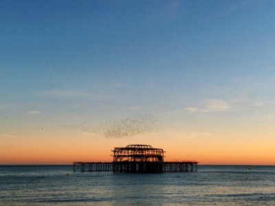 Brighton, United Kingdom photo