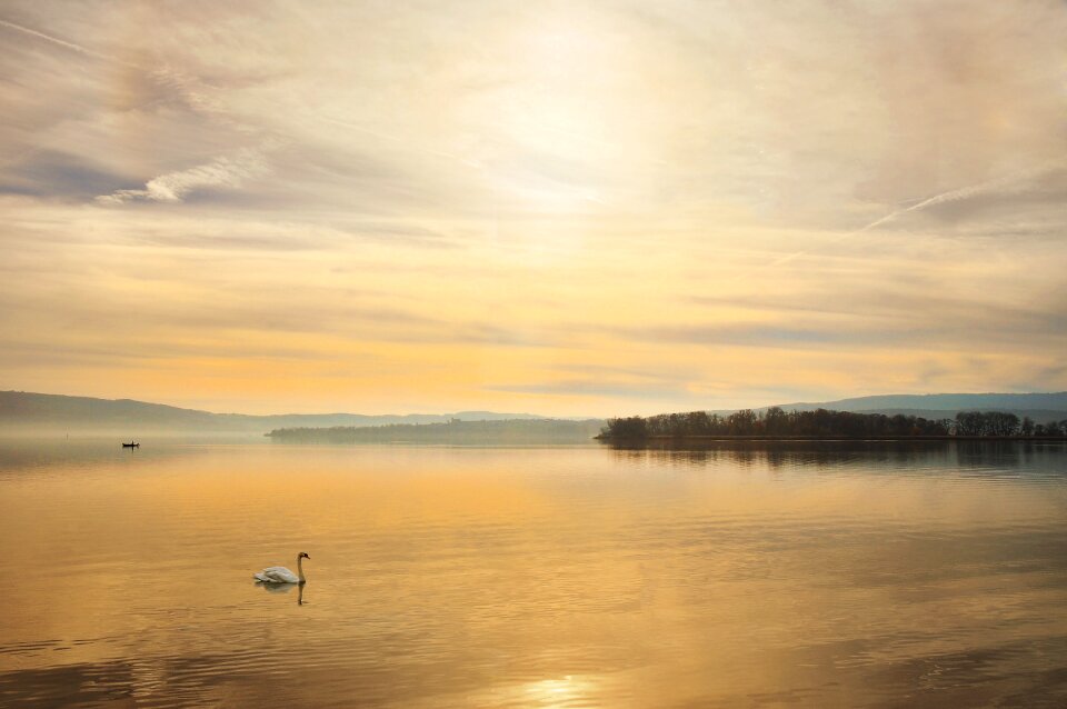 Sunset water landscape