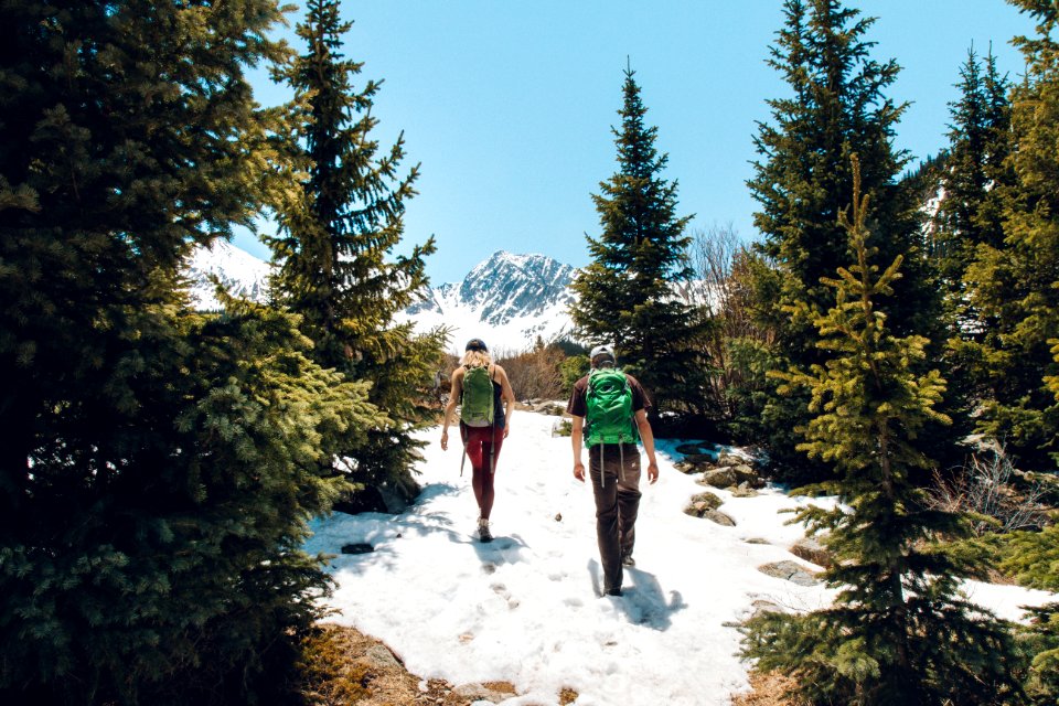 Buena Vista, United States 