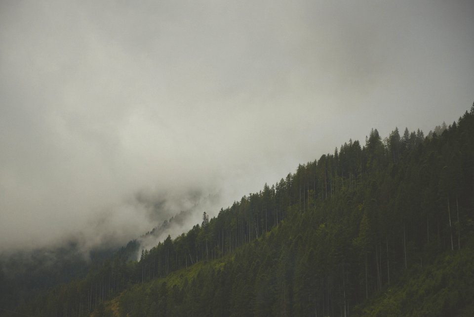 Carpathian Mountains 