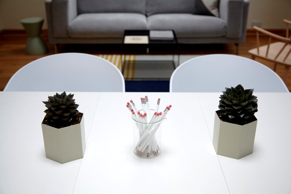Chairs, sofa, plants, pencils 