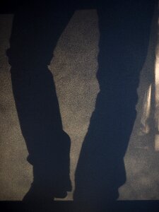 Shadow play shoes cowboy