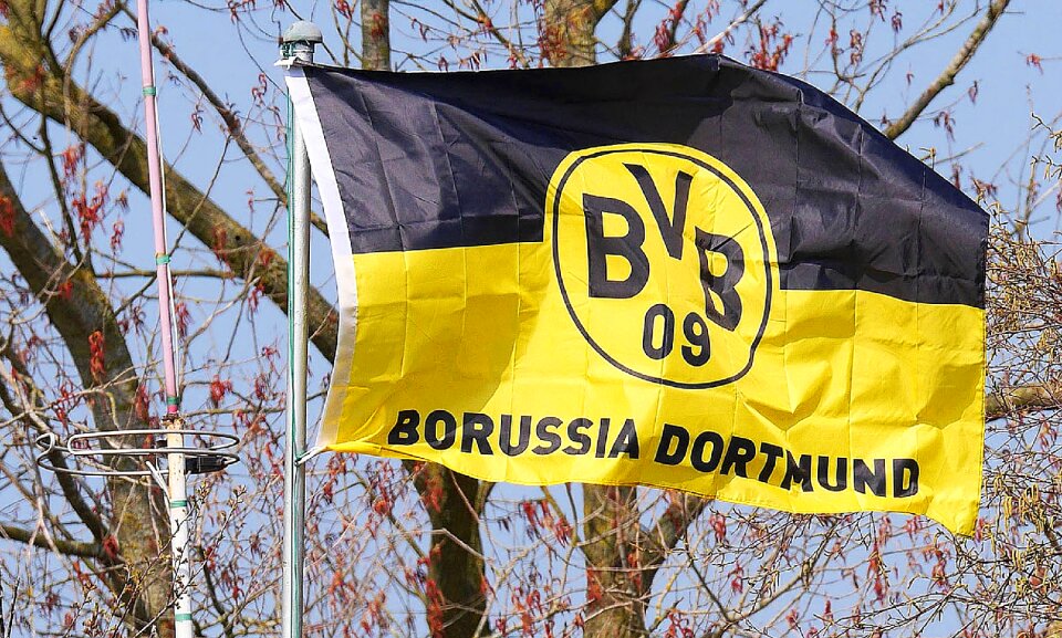 Borussia dortmund fan hooligan