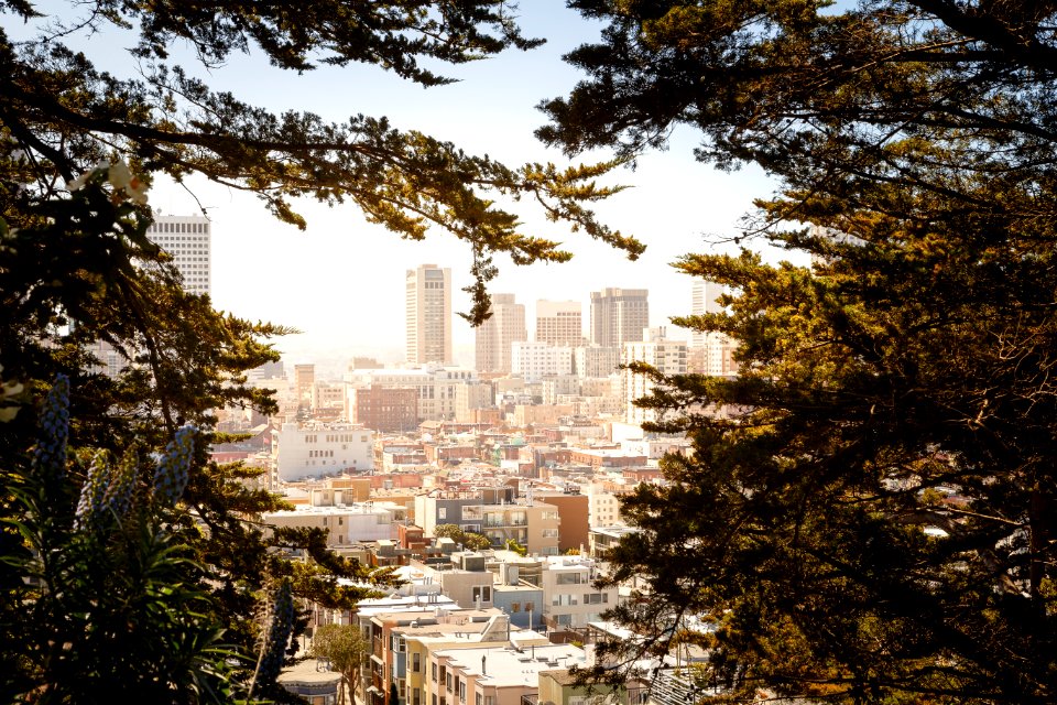 Coit Tower, San Francisco photo
