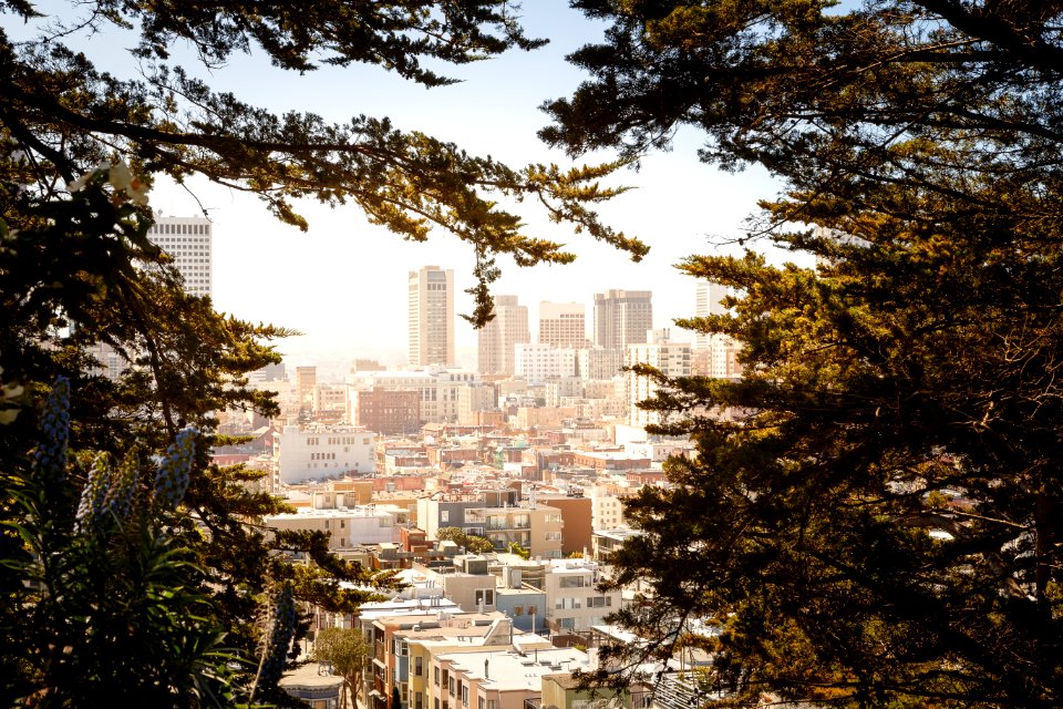 Coit Tower, San Francisco 