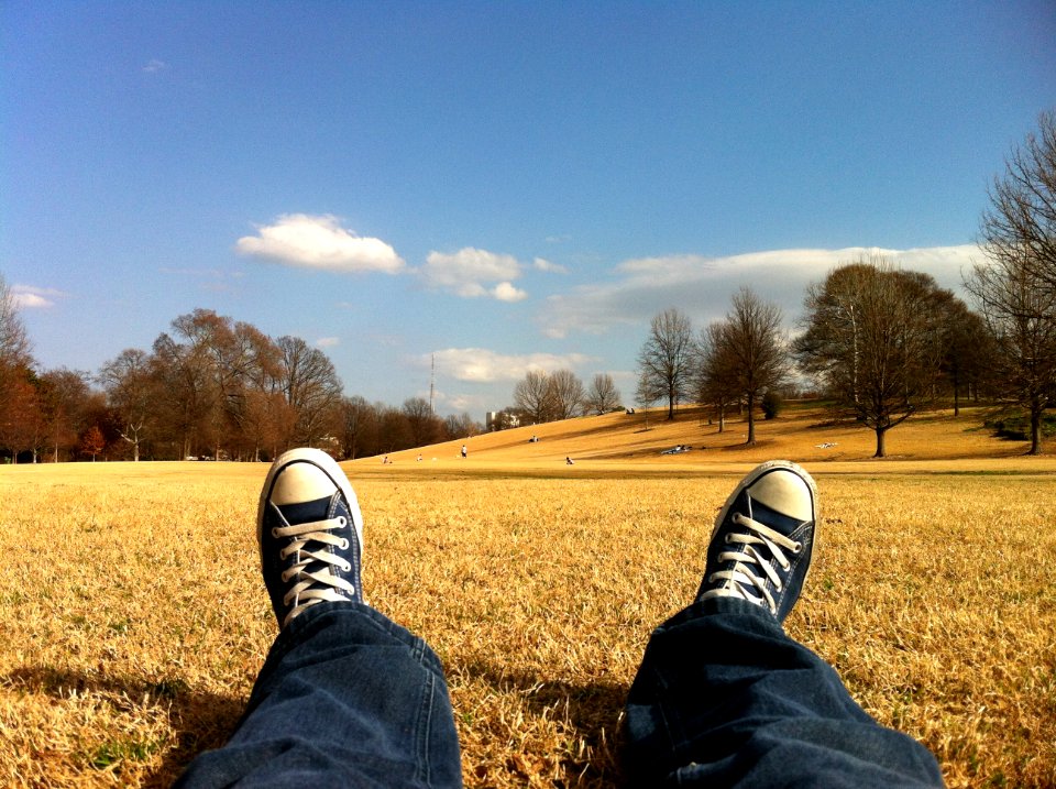 Converse fields