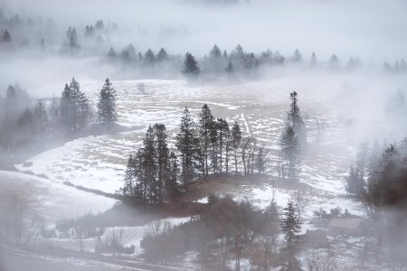 Columbia River Gorge National Scenic Area, Cascade Locks, United States photo