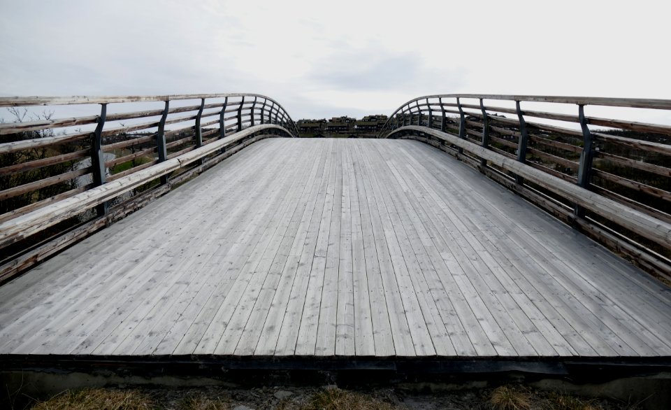 Curved wooden bridge 