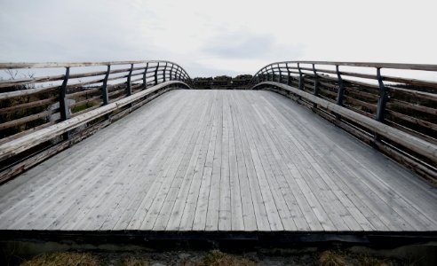 Curved wooden bridge 