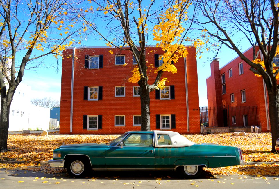 Cyan car on street in autumn 
