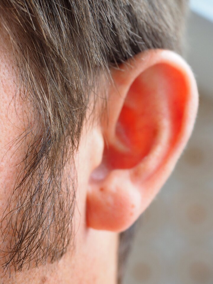 Person human auricle