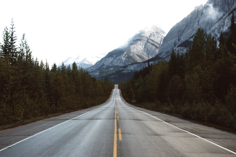 Drive among giants 