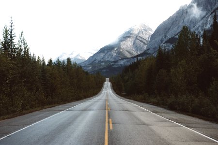 Drive among giants 