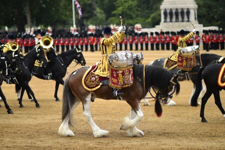 Queen birthday foot guards photo