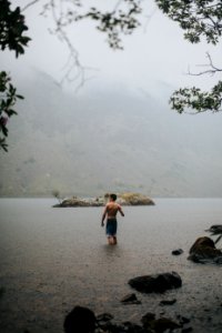 Foggy Swim photo